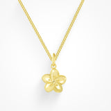 Anna Collar Minimalista Versátil